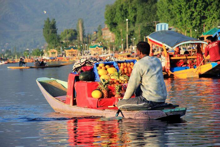 floating market dal lake, best time to visit dal lake